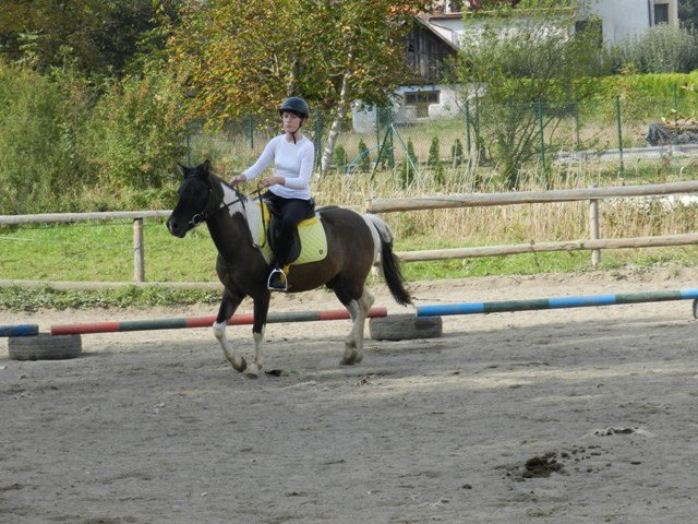 Babie Lato 2016